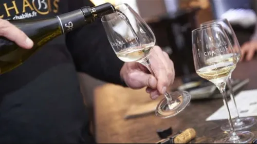 La Cité des Climats et vins de Bourgogne célèbre ses 1 an