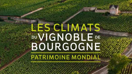 Mois des Climats 2025 : Un appel à projets pour célébrer une...