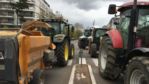 La Coordination Rurale BFC manifestera à Dijon ce vendredi