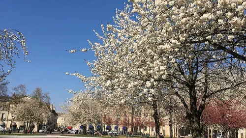 Les infos qu’il ne fallait pas rater cette semaine en Côte d’Or 