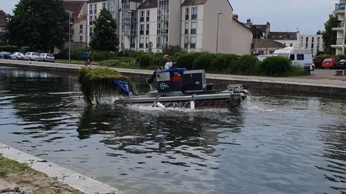 Comment lutter contre les algues dans le port du canal et le lac...