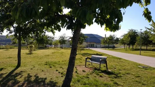 Voici ce qui vous attend à Marsannay-la-Côte en janvier