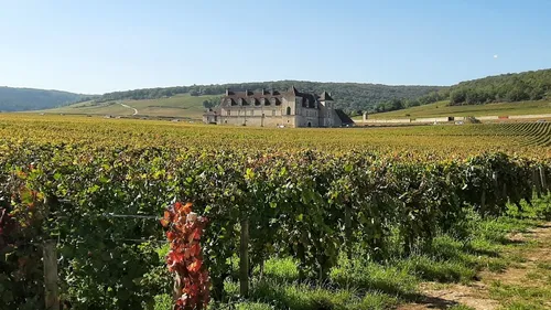 Des vins d’exception seront vendus aux enchères ce soir à Vougeot