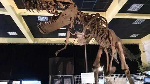 Plongée préhistorique à Dijon : une exposition sur les dinosaures...