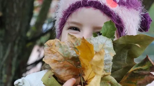 La forêt des enfants de Dijon s’agrandit ce dimanche 