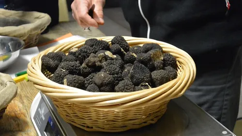 Ne manquez pas la fête de la truffe le 14 octobre à Is-sur-Tille 