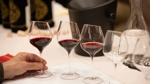 Les Hautes-Côtes célèbrent le vin et la fête avec le Trafic Bar à...