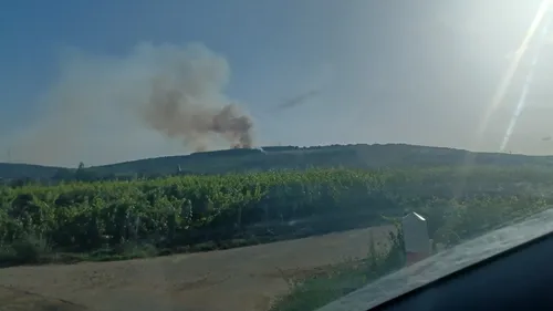 Les infos qu’il ne fallait pas rater cette semaine en Côte d'Or 