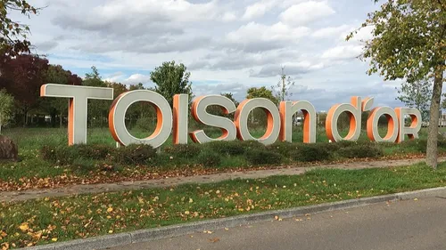 La Toison d’Or va organiser un cinéma en plein air 