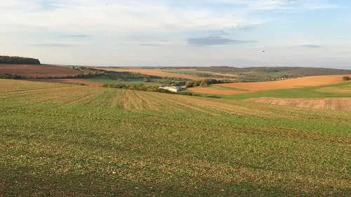 Une nouvelle assurance pour les agriculteurs de Côte d’Or 