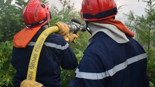 Prévention des feux de forêt : levée des mesures en Côte-d’Or 