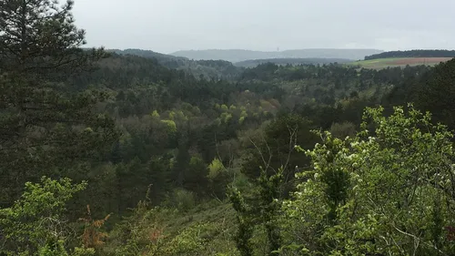 Combe à la Serpent : une opération de chasse ce mardi matin