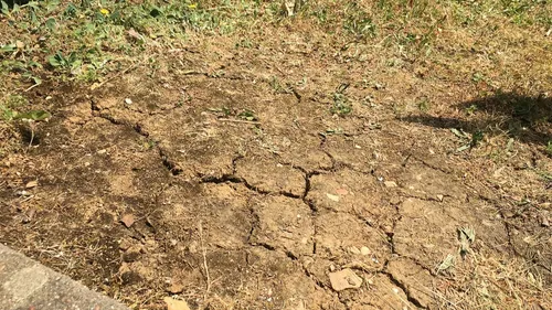 Incendie à Saint-Apollinaire et canicule : Dijon métropole appelle...