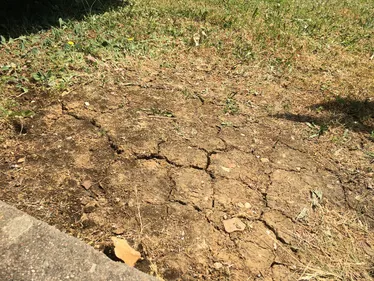 Incendie à Saint-Apollinaire et canicule : Dijon métropole appelle...
