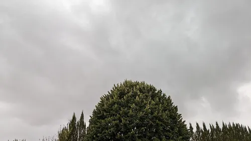 Orages et vents violents : Dijon ferme ses parcs et jardins