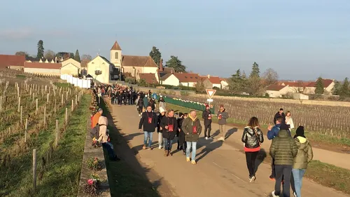 Un mois après… les chiffres de la Saint-Vincent tournante dévoilés