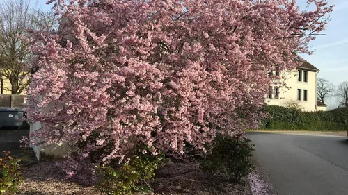 Le printemps est arrivé 