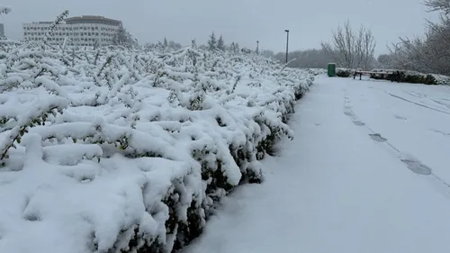 La neige pourrait revenir ce vendredi en Côte-d’Or 