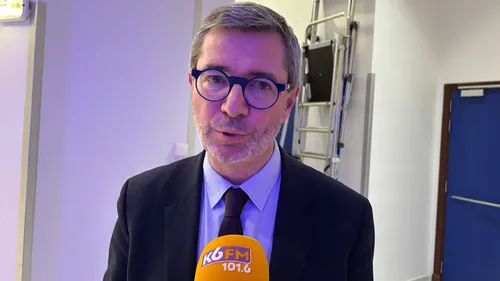 Infestation de blattes à Dijon : le cri d’alarme d’Agir pour Dijon 