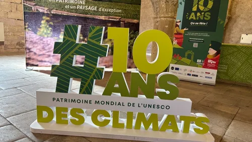10 ans des Climats : c’est le grand jour à Puligny-Montrachet 