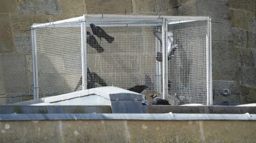 Saint-Apollinaire : PAZ exige le retrait de l’arrêté autorisant...