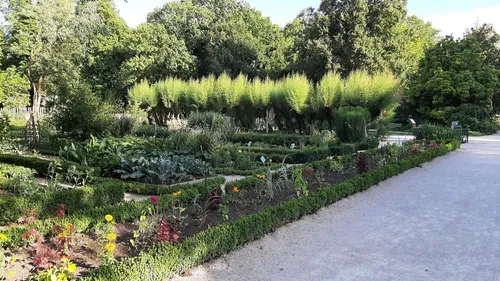 Un nouveau spectacle immersif sur la vie des arbres au Planétarium...
