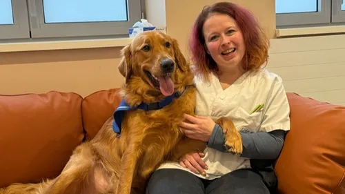 Découvrez Vox, le chien du CHU de Dijon Bourgogne qui aide les...
