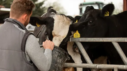 Dermatose nodulaire contagieuse : Catherine Hervieu apporte son...