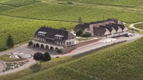 Le Domaine de la Pinte : un joyau du Jura entre tradition,...