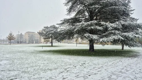 Semaine de formation à l’IA : l’UBE accueille dès ce lundi 5...