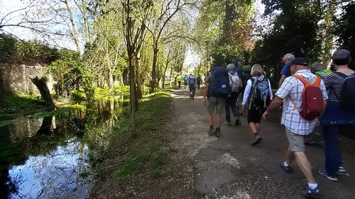 Municipales 2026 à Dijon : un collectif piétons adresse un...