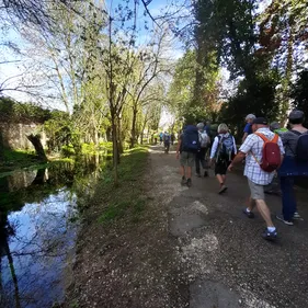 Municipales 2026 à Dijon : un collectif piétons adresse un...