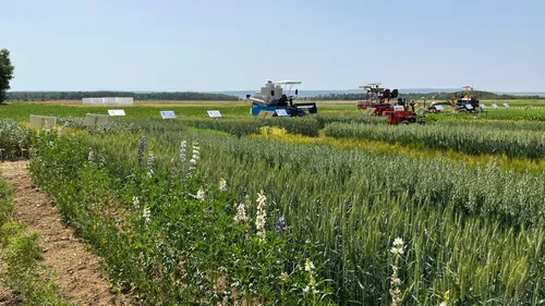 INRAE : le nouveau membre d’un accord japo-dijonnais sur...
