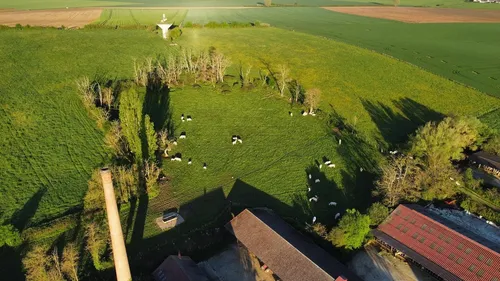 Côte-d’Or : une journée portes ouvertes dans la ferme de Tart-le-Bas