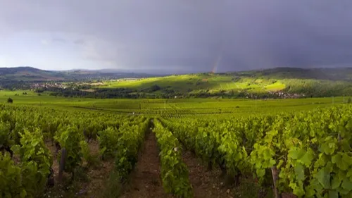 Week-end de Pâques : près de 4 000 visiteurs aux Maranges