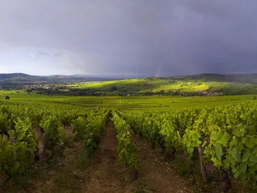 Week-end de Pâques : près de 4 000 visiteurs aux Maranges