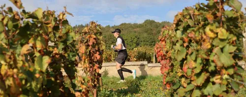 Marathon des Grands Crus : déjà la moitié des dossards vendus !