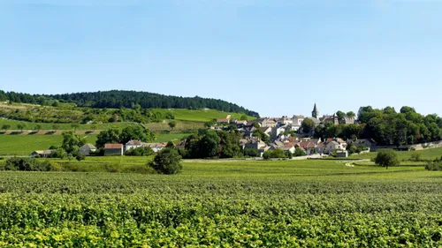 Le Printemps de Monthelie revient ce week-end pour deux journées de...