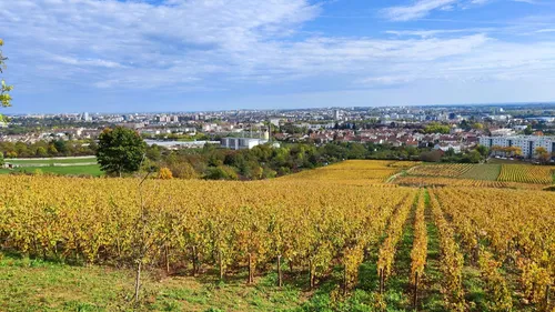 Première mondiale à Dijon, les grappes MICHELIN remises aux...