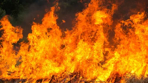 Incendie à Couchey et Marsannay-la-Côte : Dijon et la Métropole...