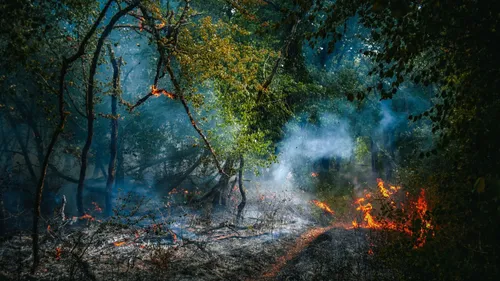 Face aux incendies les collectivités de Côte-d’Or se mobilisent...