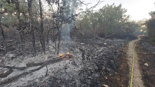 Incendie en Côte-d’Or : un feu s’est déclenché dans la forêt du...