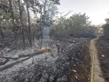 Incendie en Côte-d’Or : un feu s’est déclenché dans la forêt du...