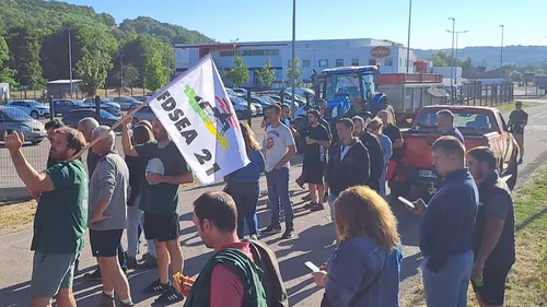 Côte-d’Or : retour sur l’action de blocage de l’abattoir Bigard...