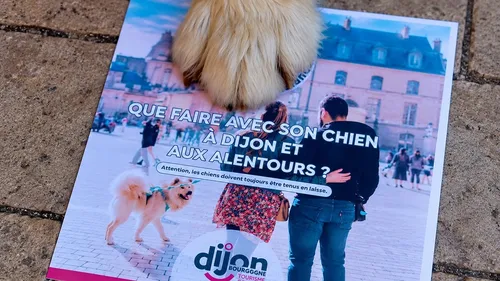 La Semaine Nationale du Chien revient fin septembre du côté de Dijon