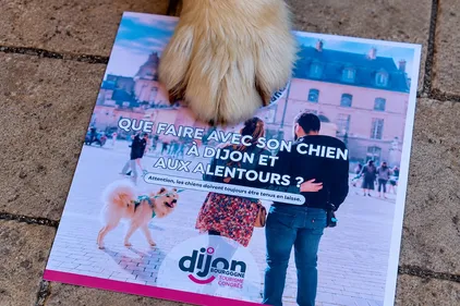 La Semaine Nationale du Chien revient fin septembre du côté de Dijon