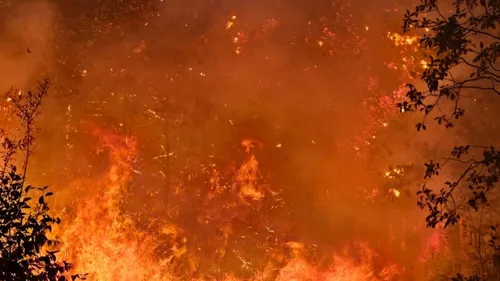 Incendies à Velars-sur-Ouche et Plombières-lès-Dijon : le point sur...