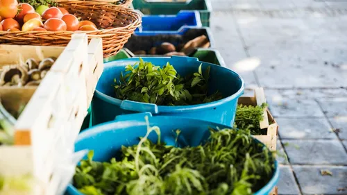  « De la ferme à l’assiette », une journée 100 % locale place de la...