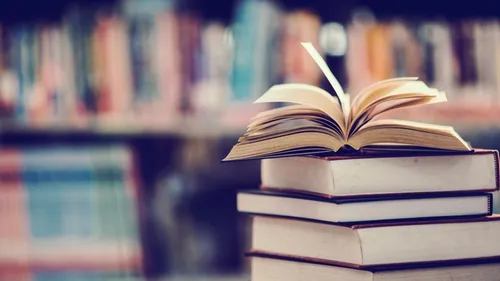 Braderie culturelle à Dijon : plus de 8 000 livres et CD à 1 euro...