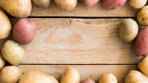Deux jours de fête autour et de la patate des producteurs locaux à...